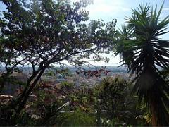 183 HYERES ET SES PALMIERS D02_000022